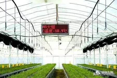 冬季使用微生物菌劑與物聯(lián)網(wǎng)應用服務的關鍵注意事項